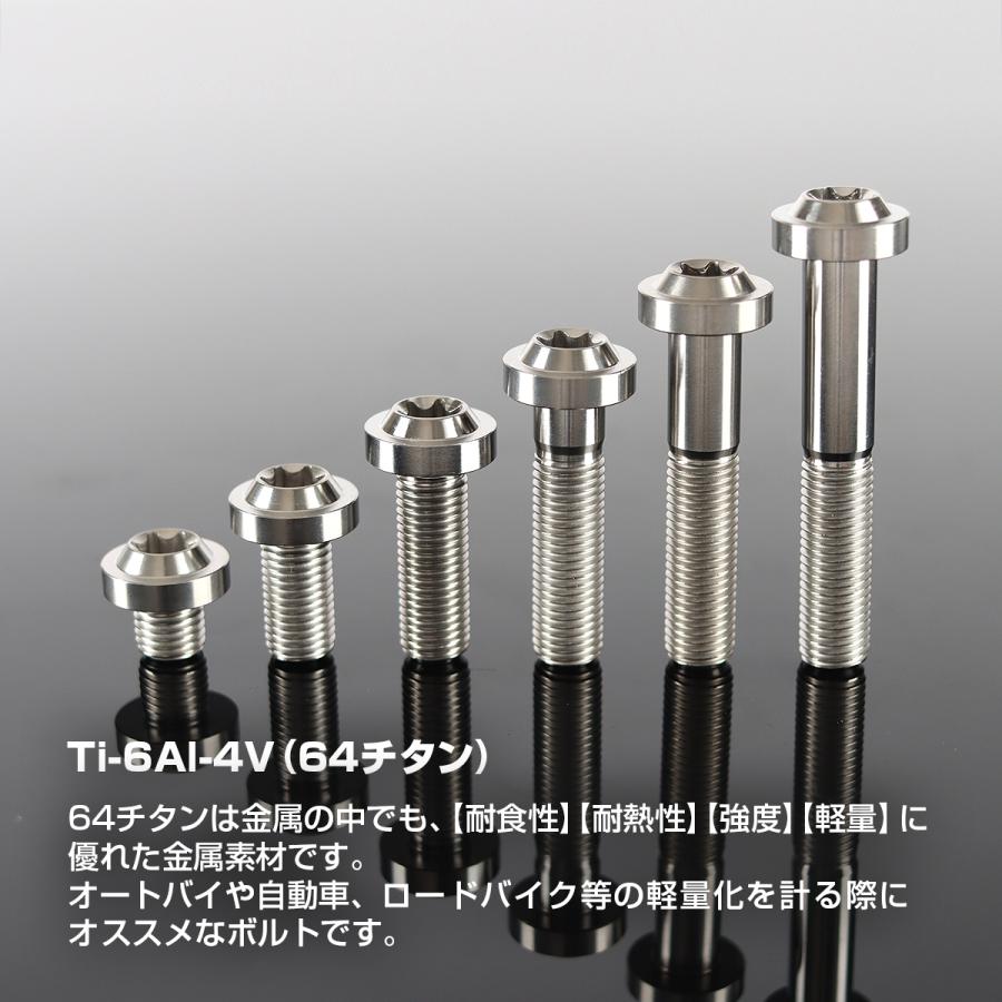 チタンボルト M10×20mm P1.25 トルクス穴 フランジ付き ボタンボルト シルバーカラー 1個 JA2175 | TECHーMASTER | 01