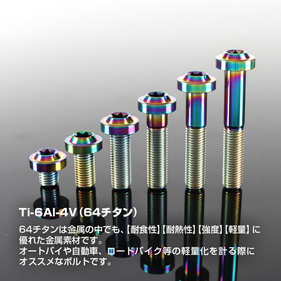 チタンボルト M10×20mm P1.25 トルクス穴 フランジ付き ボタンボルト チタンカラー レインボー 1個 JA2177 | TECHーMASTER | 01