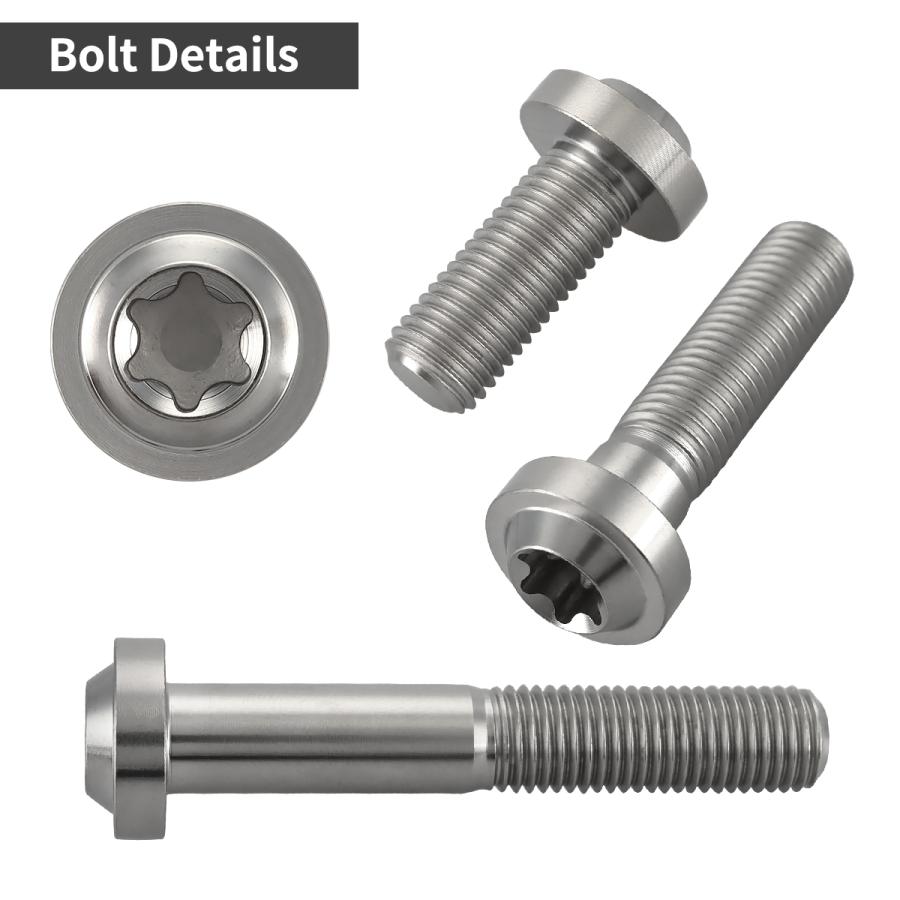チタンボルト M10×30mm P1.25 トルクス穴 フランジ付き ボタンボルト シルバーカラー 1個 JA2183 | TECHーMASTER | 02