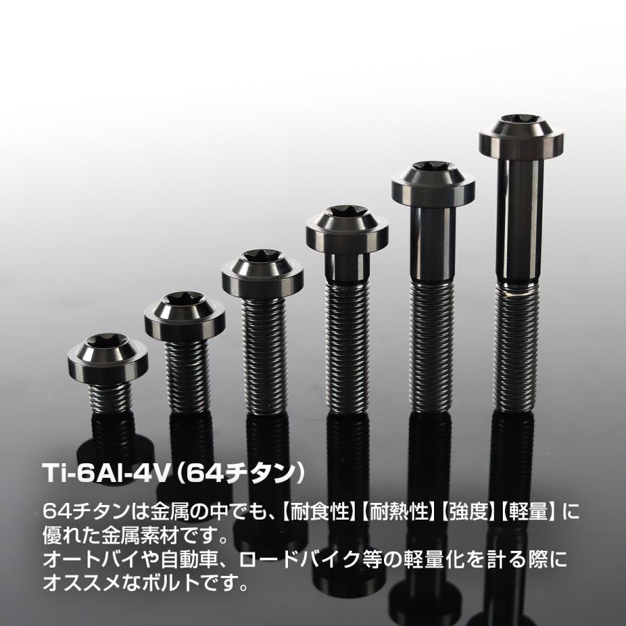 チタンボルト M10×40mm P1.25 トルクス穴 フランジ付き ボタン