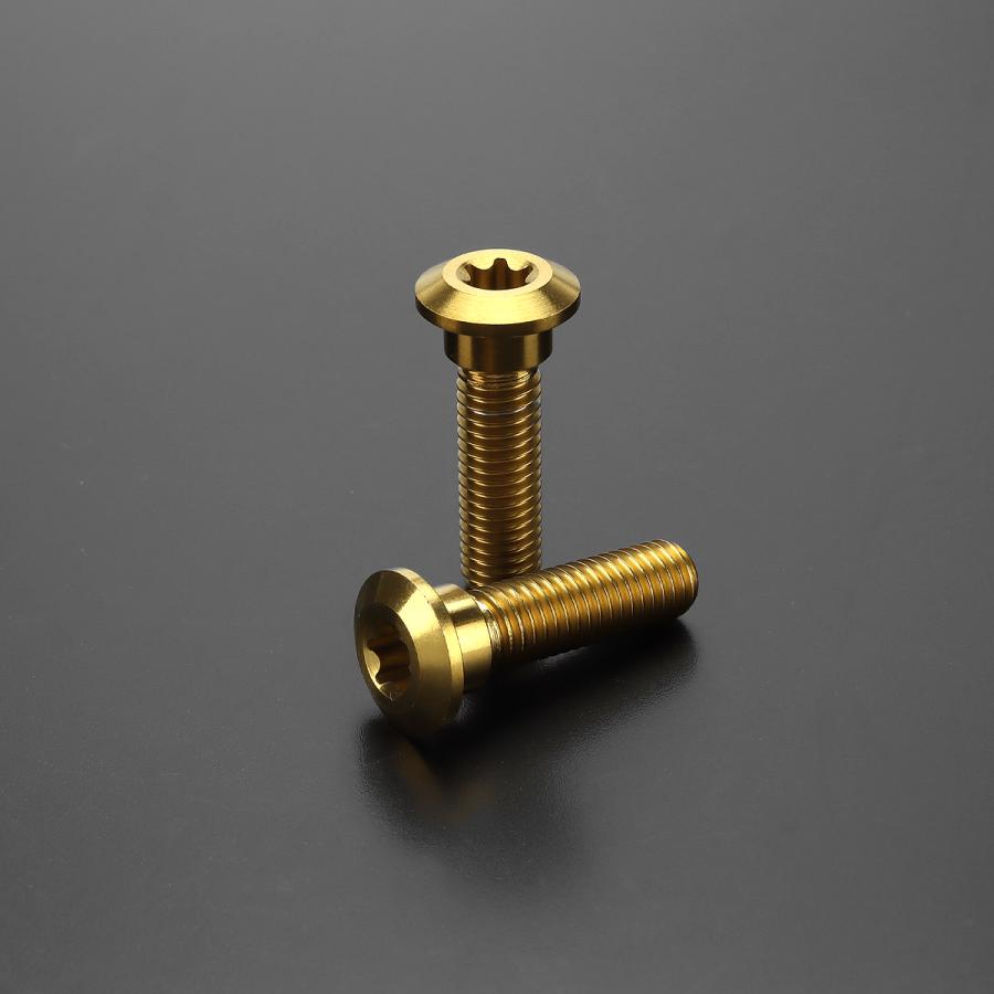 TECHーMASTER（テックマスター） Z900RS SE 64チタン ブレーキディスク