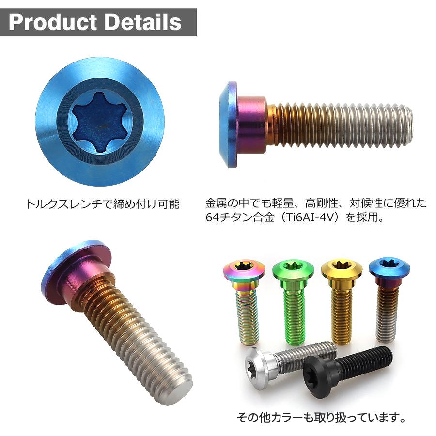 Kawasaki バリオス2後輪用ブレーキディスクとパッド、ナット類のセット TECHーMASTER（テックマスター） BALIUS-II バリオス-2 64チタン