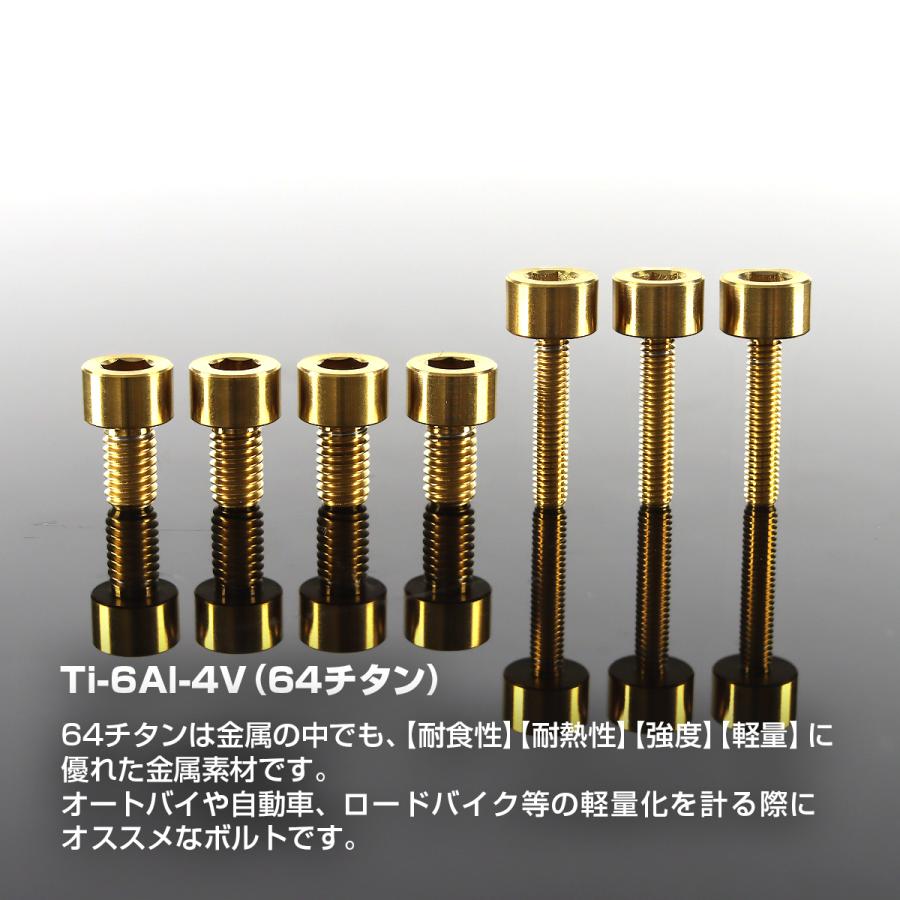 TECHーMASTER（テックマスター） タンクキャップ チタンボルト バイク