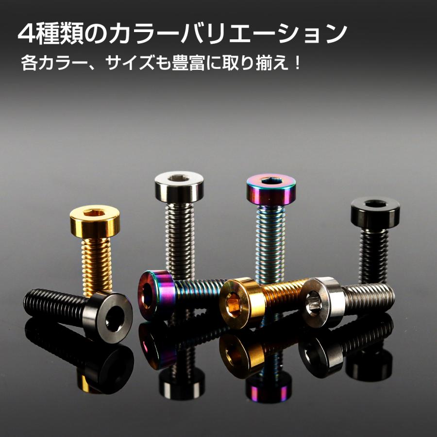 チタンボルト M6×20mm P1.0 ストレートキャップボルト 低頭 スリムヘッド 六角穴付き シルバーカラー 1個 JA2407 | TECHーMASTER | 03