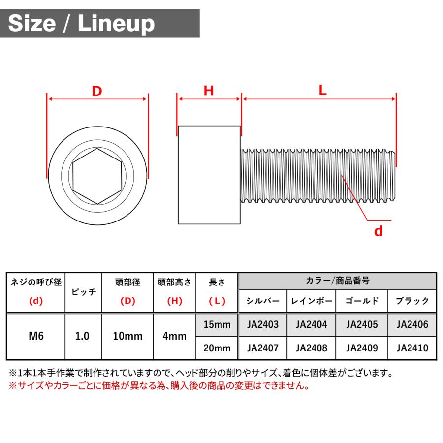 チタンボルト M6×20mm P1.0 ストレートキャップボルト 低頭 スリムヘッド 六角穴付き シルバーカラー 1個 JA2407 | TECHーMASTER | 04