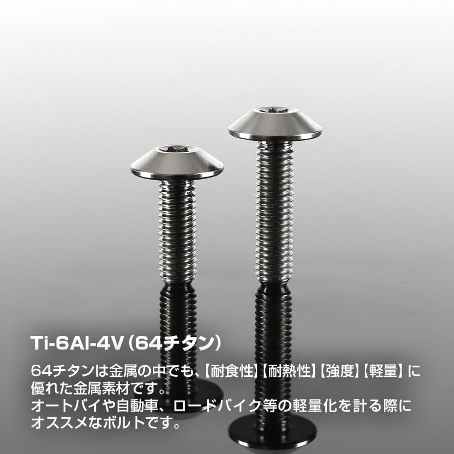 チタンボルト M5×12mm P0.8 テーパーヘッド トルクス穴 ボタンボルト シルバー 1個 JA2435 | TECHーMASTER | 01