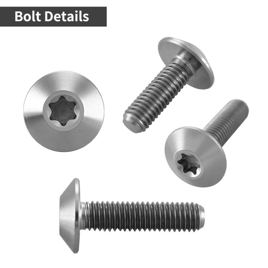 チタンボルト M5×12mm P0.8 テーパーヘッド トルクス穴 ボタンボルト シルバー 1個 JA2435 | TECHーMASTER | 02