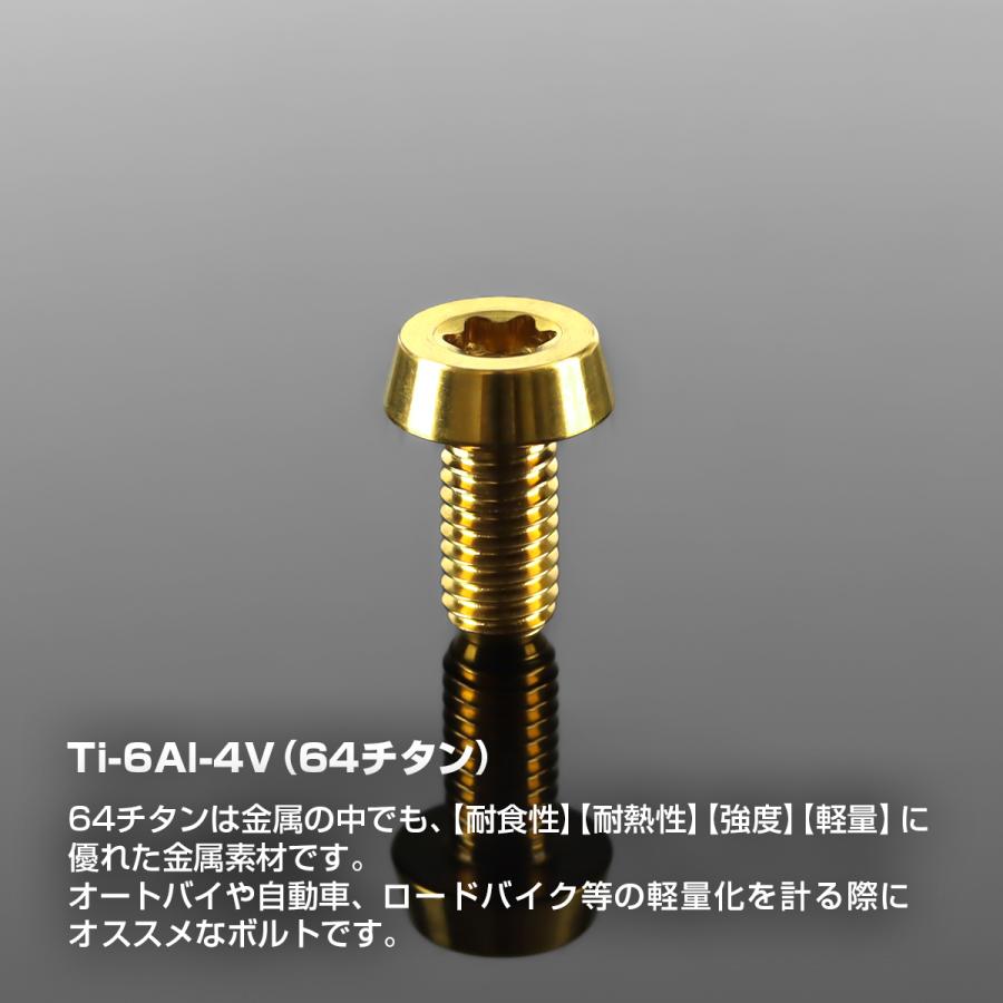 チタンボルト M5×10mm P0.8 低頭 テーパーヘッド トルクス穴付き キャップボルト ゴールドカラー 1個 JA2448 | TECHーMASTER | 01