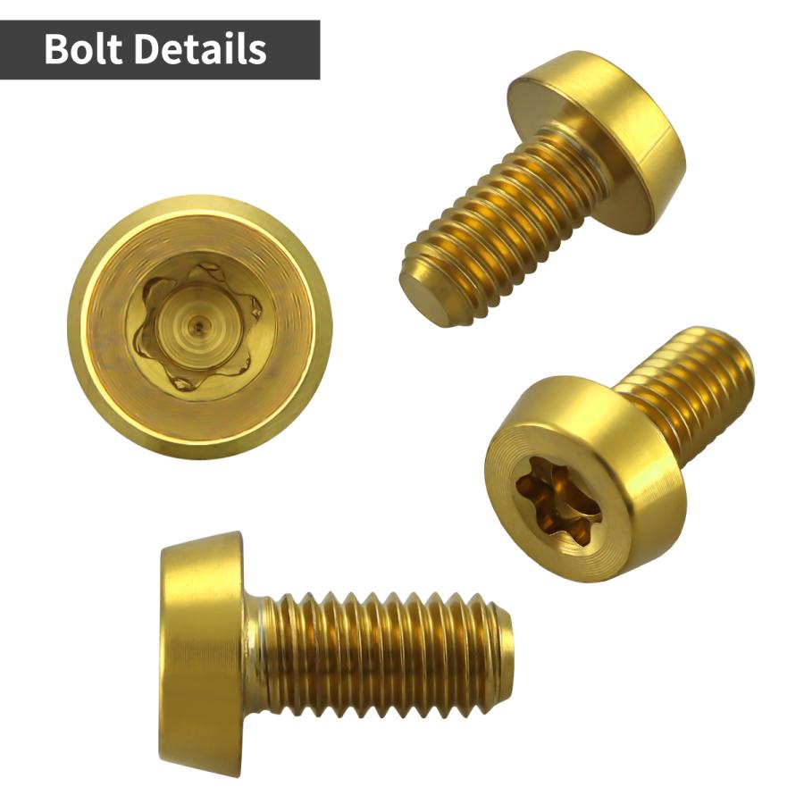 チタンボルト M5×10mm P0.8 低頭 テーパーヘッド トルクス穴付き キャップボルト ゴールドカラー 1個 JA2448 | TECHーMASTER | 02