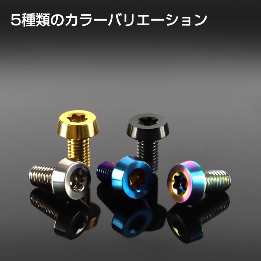 チタンボルト M5×10mm P0.8 低頭 テーパーヘッド トルクス穴付き キャップボルト ゴールドカラー 1個 JA2448 | TECHーMASTER | 03