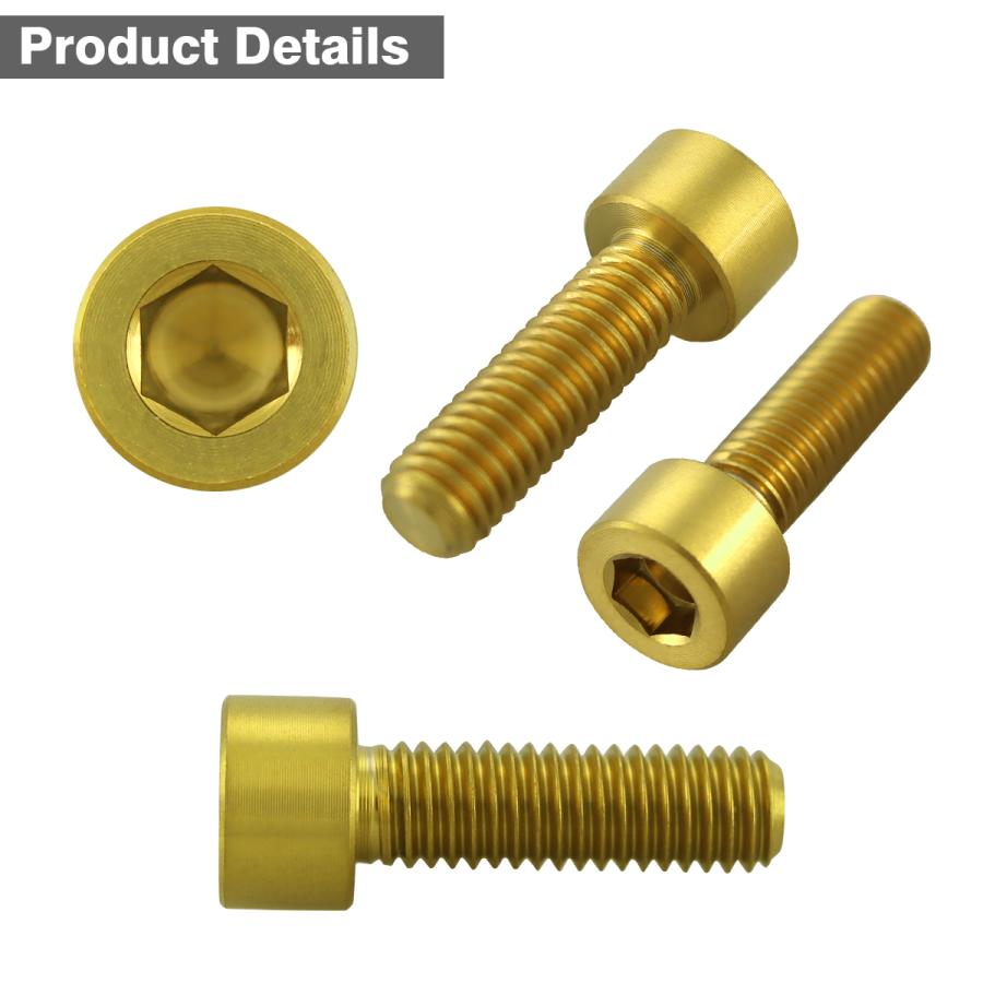 カワサキ タンクキャップ チタンボルト バイク 6穴用 ゴールド 6本