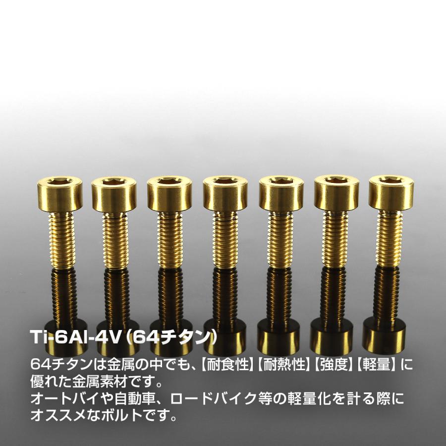 TECHーMASTER（テックマスター） タンクキャップ チタンボルト バイク