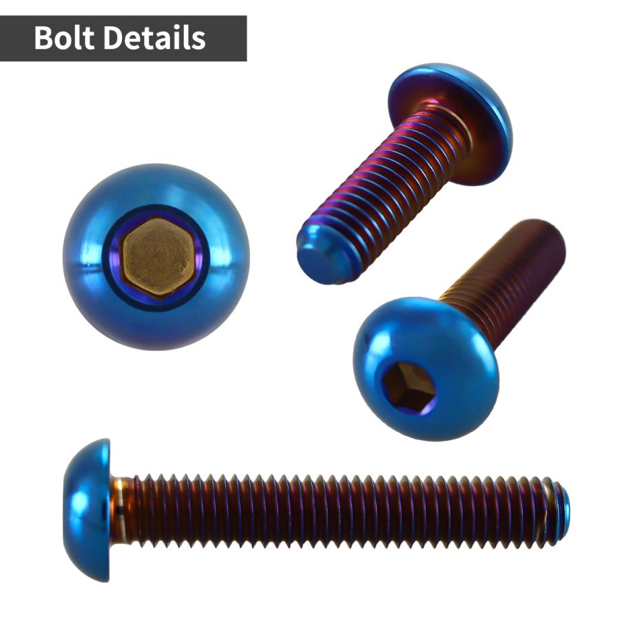 チタンボルト M6×25mm P1.0 トラスヘッド 六角穴付き ボタンボルト 焼きチタンカラー 1個 JA2663 | TECHーMASTER | 02