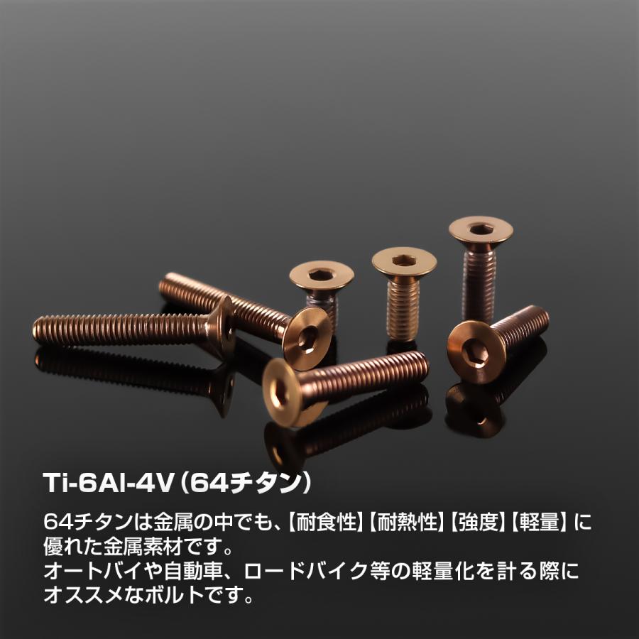 チタンボルト M3×10mm P0.5 皿ボルト 六角穴付き キャップボルト ブロンズカラー 1個 JA3003 | TECHーMASTER | 01