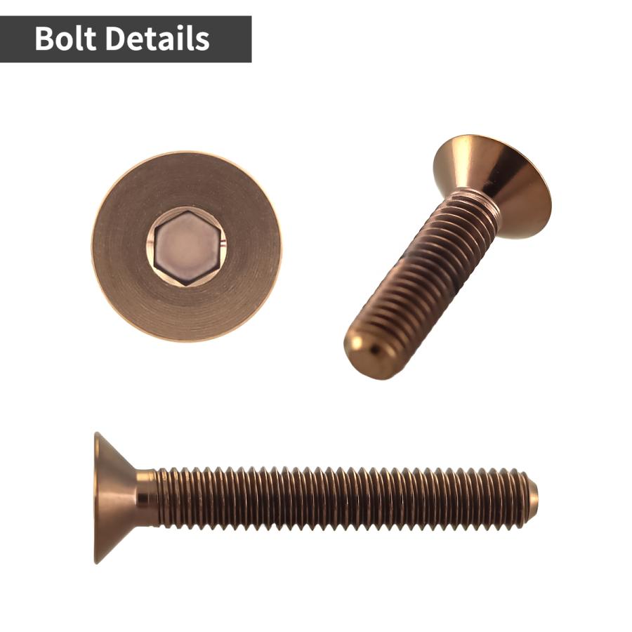 チタンボルト M3×10mm P0.5 皿ボルト 六角穴付き キャップボルト ブロンズカラー 1個 JA3003 | TECHーMASTER | 02