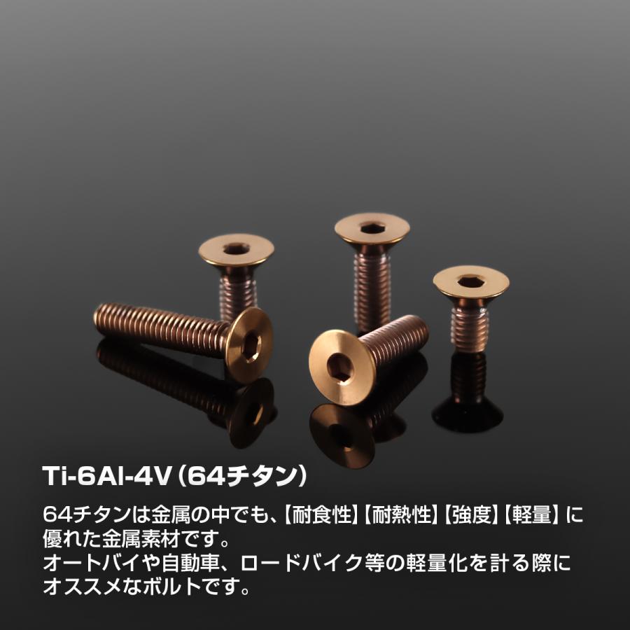 チタンボルト M4×20mm P0.7 皿ボルト 六角穴付き キャップボルト ブロンズカラー 1個 JA3012 | TECHーMASTER | 01