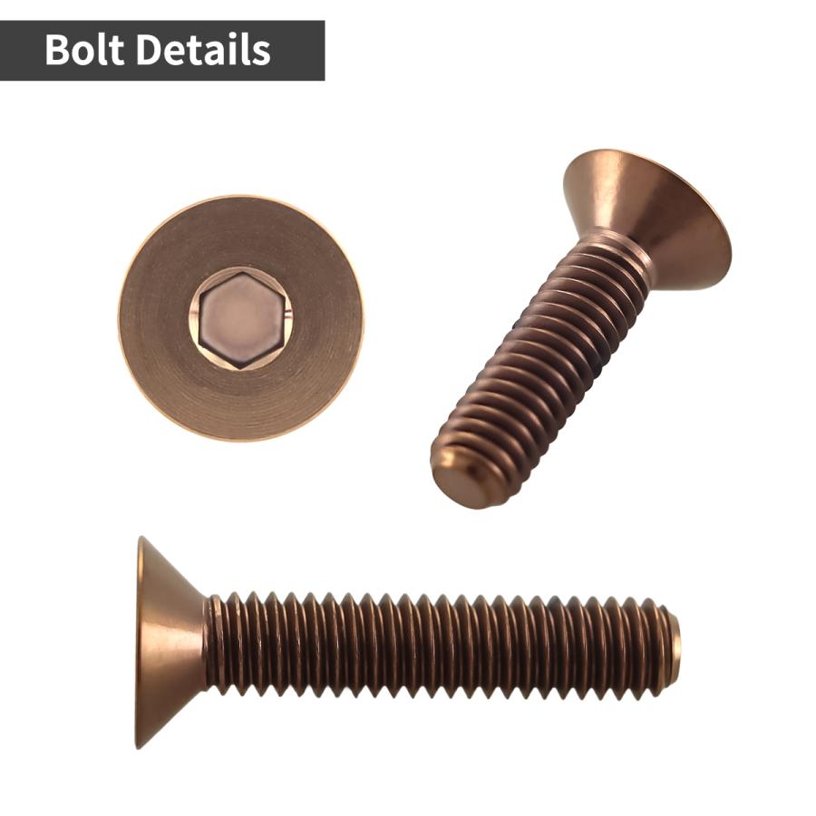 チタンボルト M4×20mm P0.7 皿ボルト 六角穴付き キャップボルト ブロンズカラー 1個 JA3012 | TECHーMASTER | 02