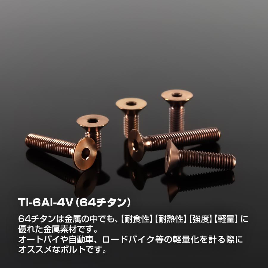 チタンボルト M5×15mm P0.8 皿ボルト 六角穴付き キャップボルト ブロンズカラー 1個 JA3015 | TECHーMASTER | 01