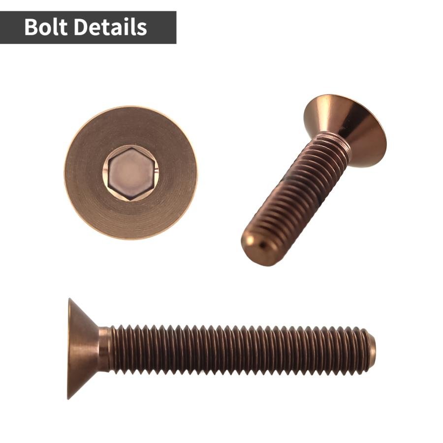 チタンボルト M5×15mm P0.8 皿ボルト 六角穴付き キャップボルト ブロンズカラー 1個 JA3015 | TECHーMASTER | 02