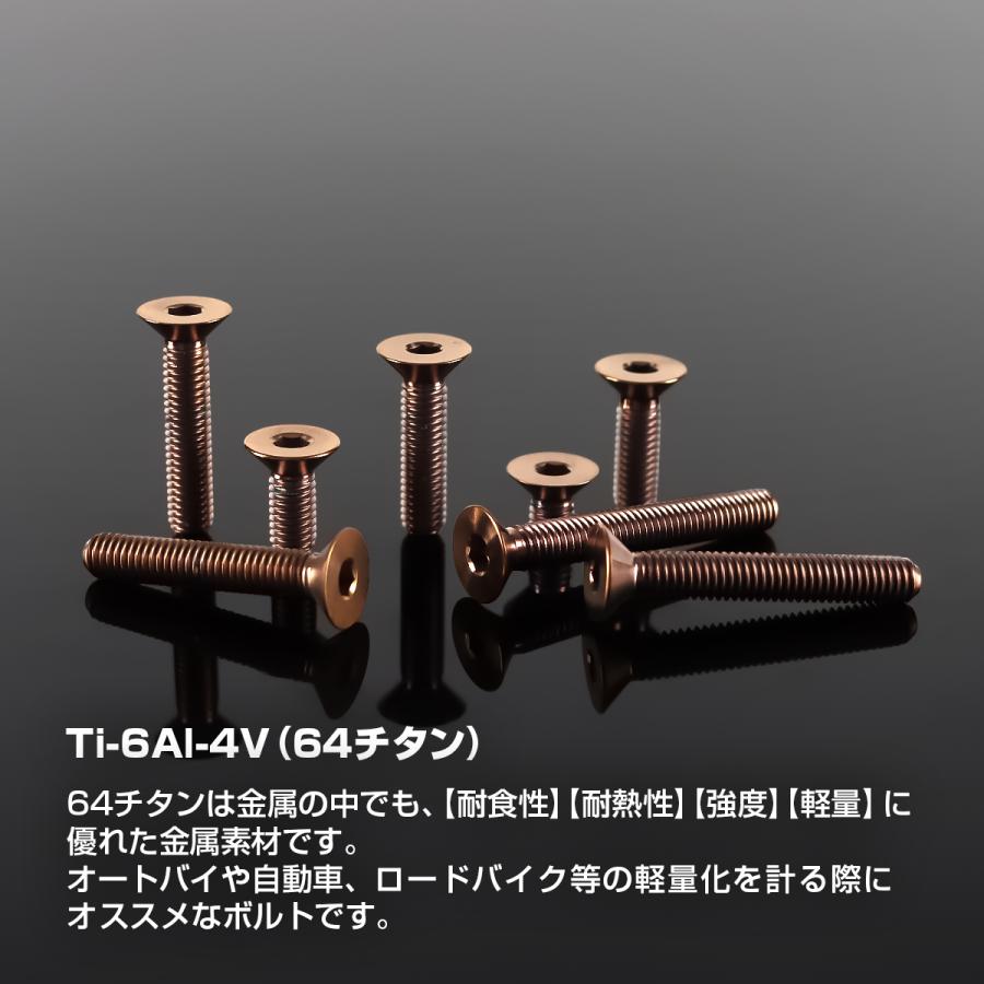 チタンボルト M6×20mm P1.0 皿ボルト 六角穴付き キャップボルト ブロンズカラー 1個 JA3022 | TECHーMASTER | 01