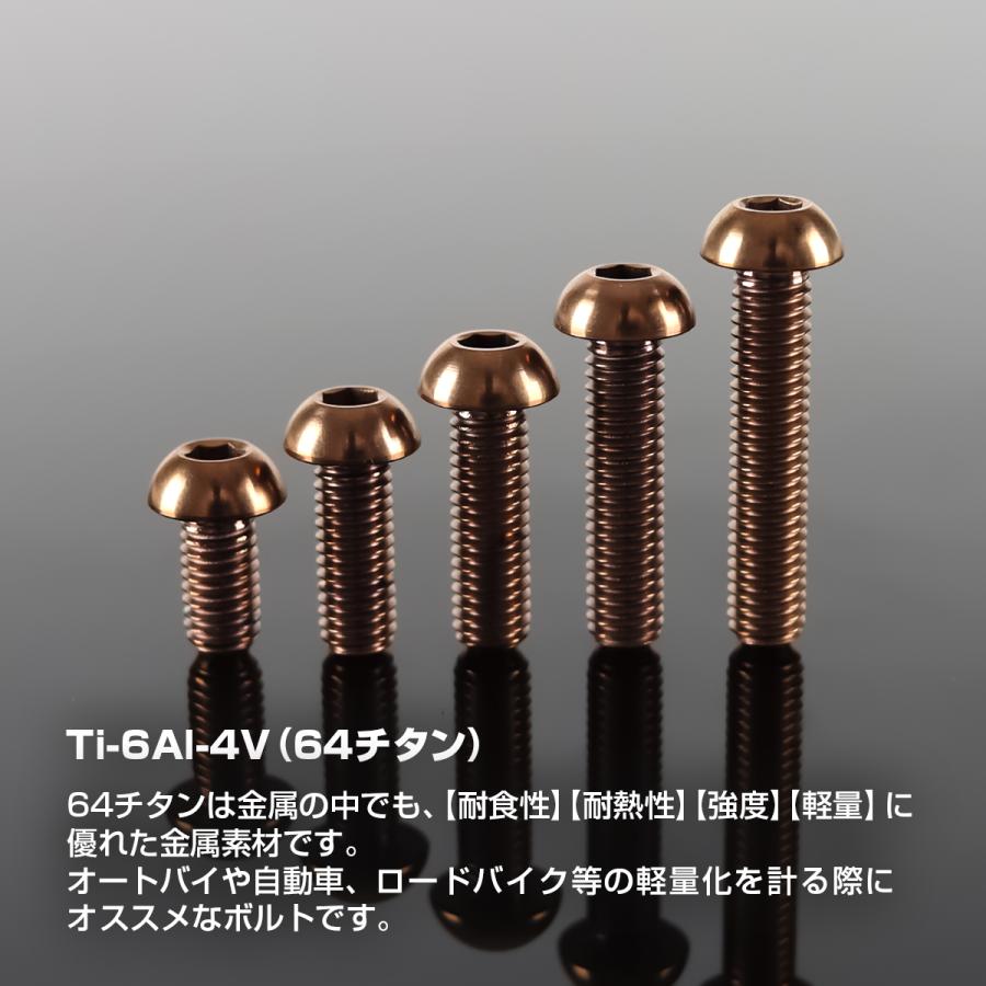 チタンボルト M6×25mm P1.0 トラスヘッド 六角穴付き ボタンボルト ブロンズ 1個 JA3115 | TECHーMASTER | 01