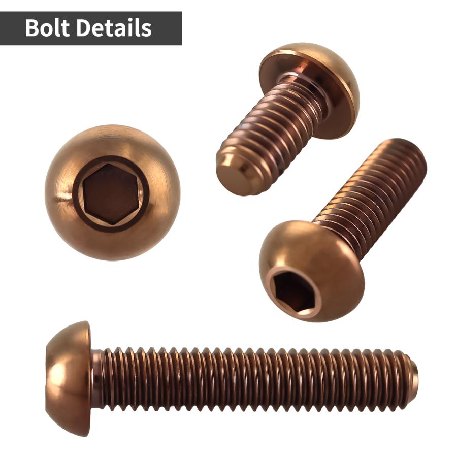 チタンボルト M6×25mm P1.0 トラスヘッド 六角穴付き ボタンボルト ブロンズ 1個 JA3115 | TECHーMASTER | 02