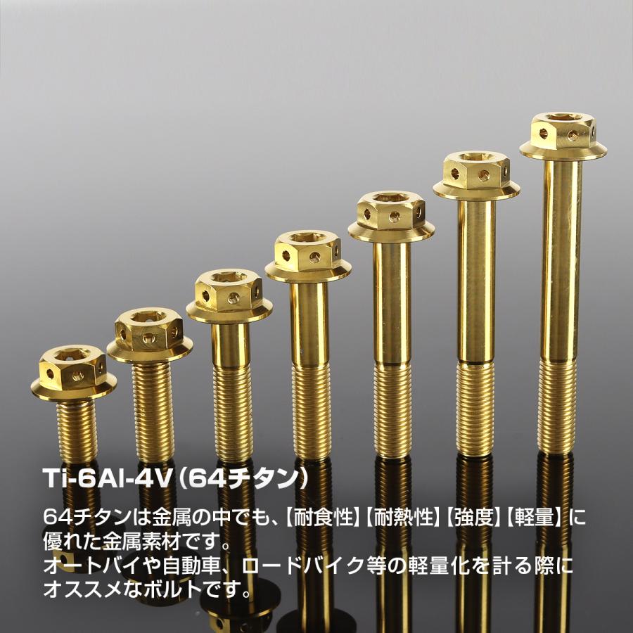 TECHーMASTER（テックマスター） チタンボルト M10×40mm P1.25 六角