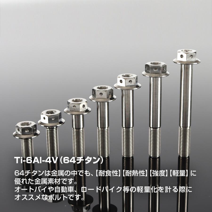 TECHーMASTER（テックマスター） チタンボルト M10×70mm P1.25 六角
