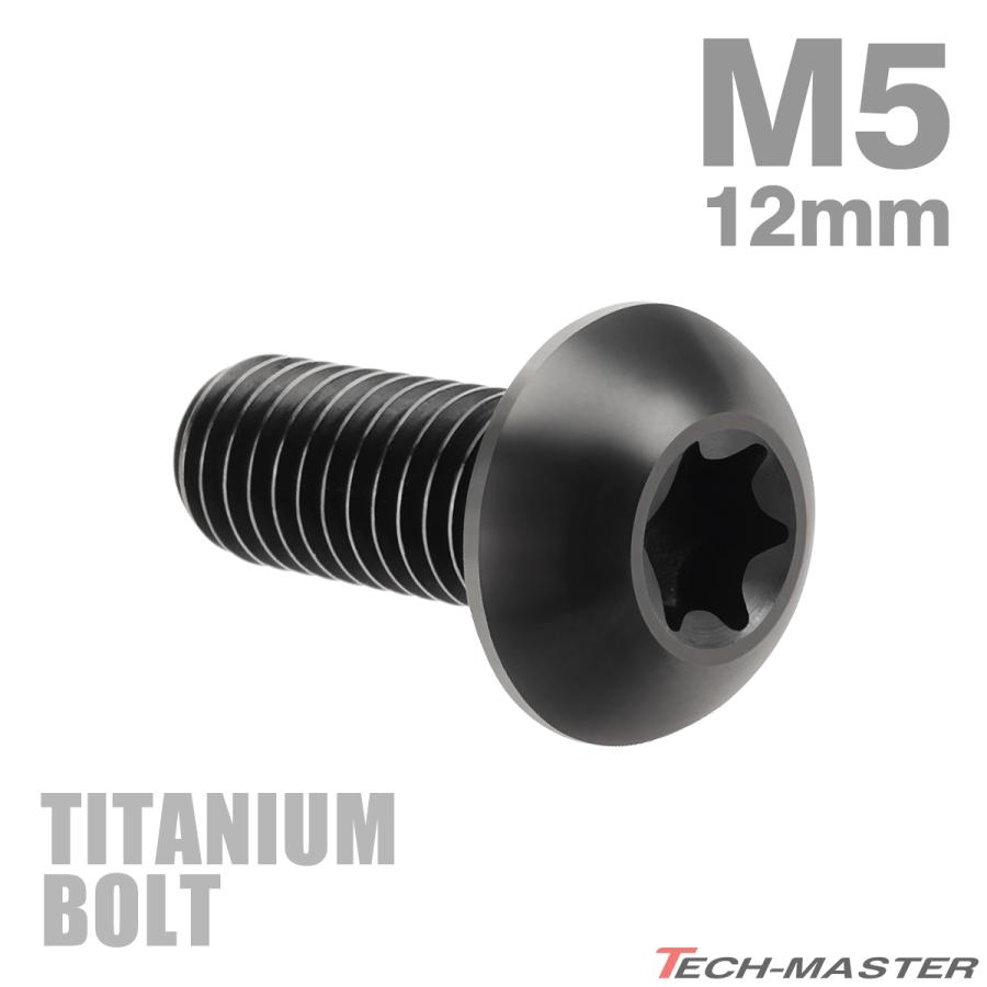 チタンボルト M5×12mm P0.8 トラスヘッド トルクス穴付き ブラック 1個 JA466 | TECHーMASTER