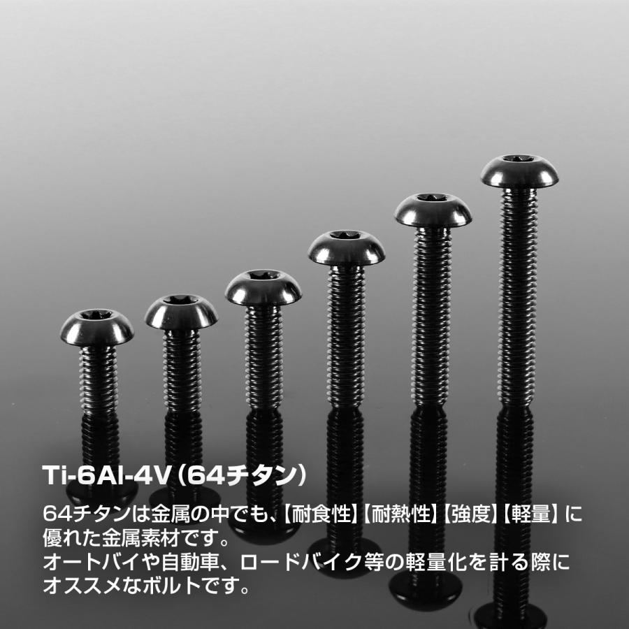 チタンボルト M5×12mm P0.8 トラスヘッド トルクス穴付き ブラック 1個 JA466 | TECHーMASTER | 01