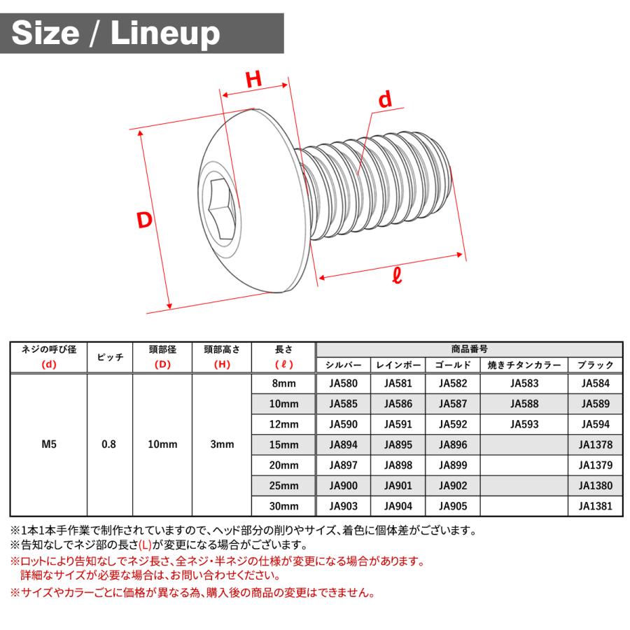 チタンボルト M5×8mm P0.8 トラスヘッド 六角穴付き チタンカラー レインボー 1個 JA581 | TECHーMASTER | 04