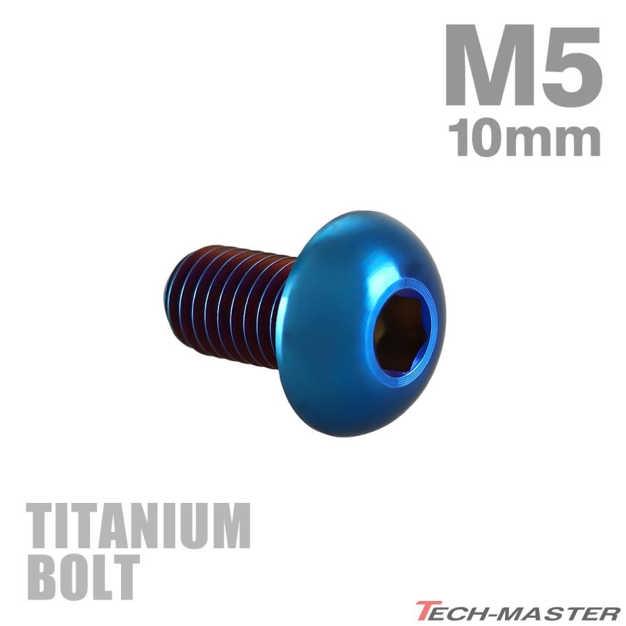 チタンボルト M5×10mm P0.8 トラスヘッド 六角穴付き 焼きチタンカラー 1個 JA588 | TECHーMASTER