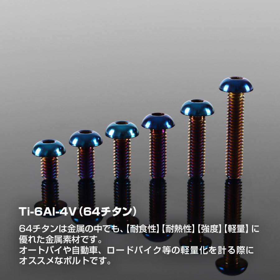 チタンボルト M5×10mm P0.8 トラスヘッド 六角穴付き 焼きチタンカラー 1個 JA588 | TECHーMASTER | 01