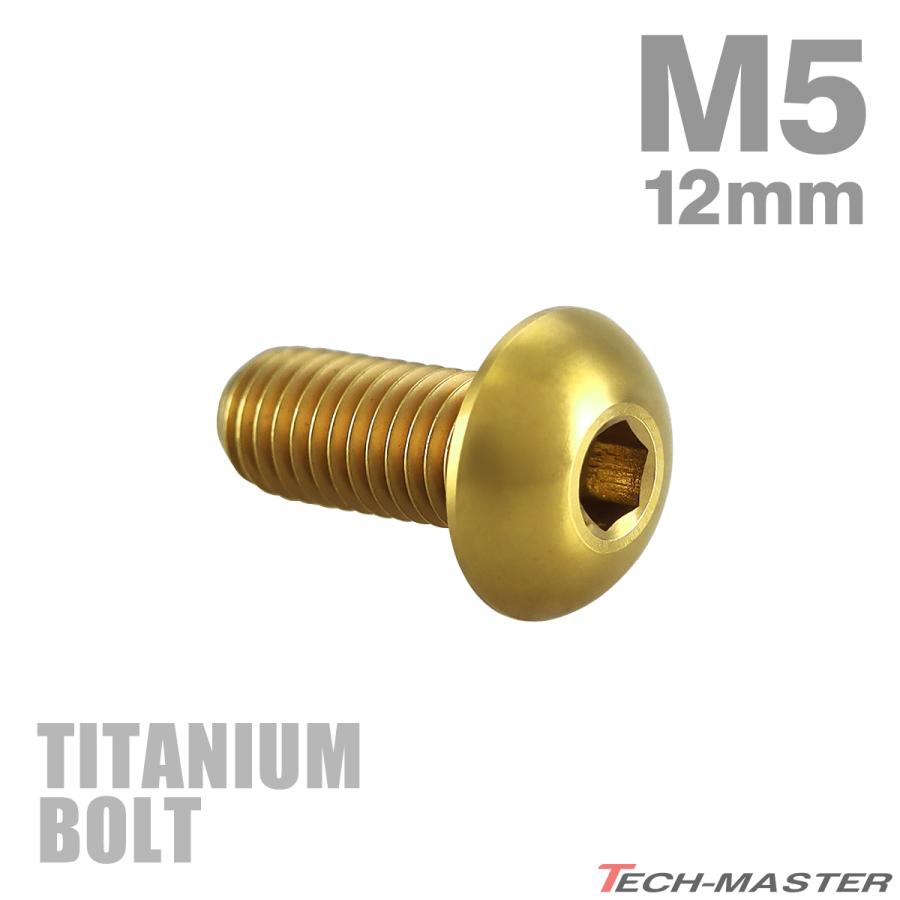 チタンボルト M5×12mm P0.8 トラスヘッド 六角穴付き ゴールド 1個 JA592 | TECHーMASTER