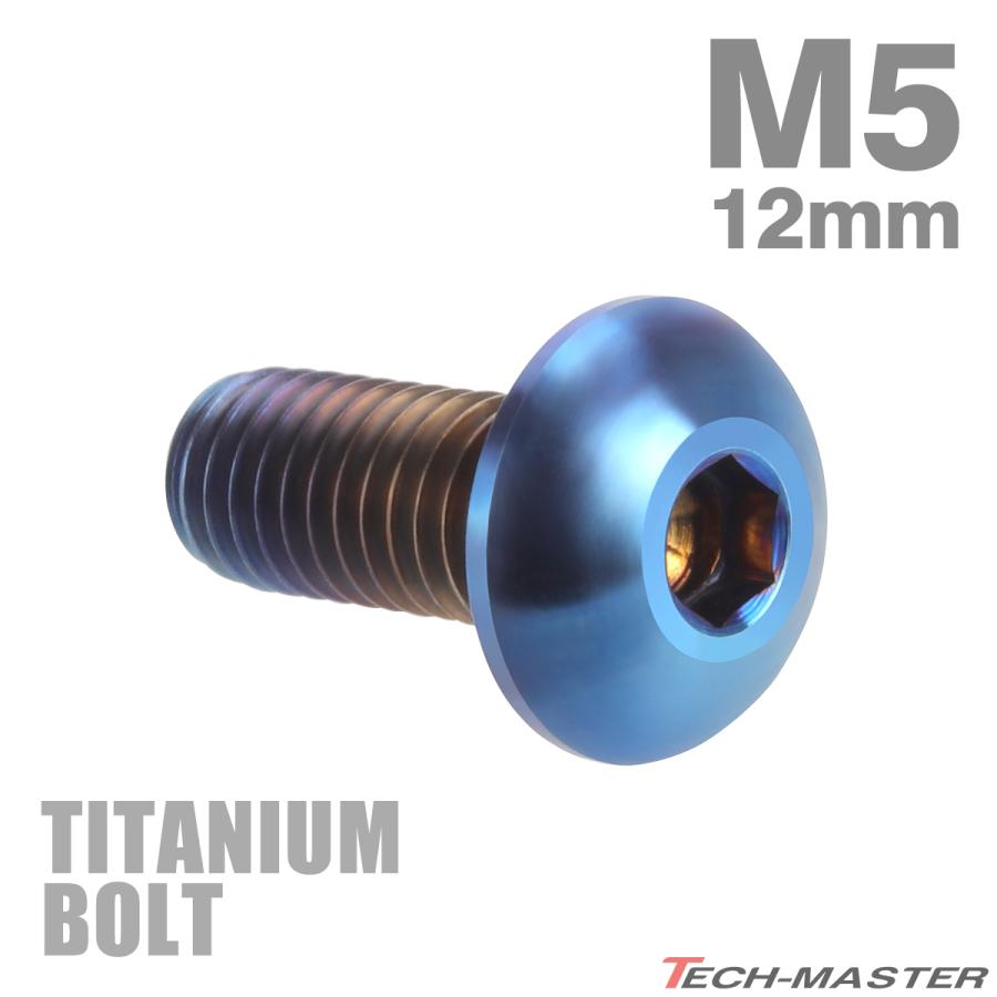 チタンボルト M5×12mm P0.8 トラスヘッド 六角穴付き 焼きチタンカラー ダークカラー 1個 JA593｜tmst