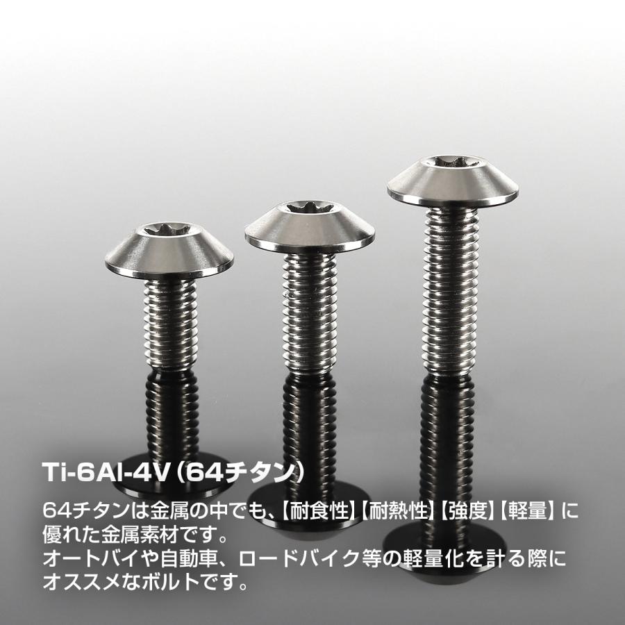 チタンボルト M6×12mm P1.0 テーパーヘッド トルクス穴 ボタンボルト シルバー 1個 JA625 | TECHーMASTER | 01