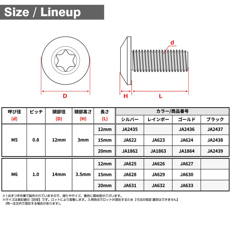 チタンボルト M6×12mm P1.0 テーパーヘッド トルクス穴 ボタンボルト シルバー 1個 JA625 | TECHーMASTER | 04