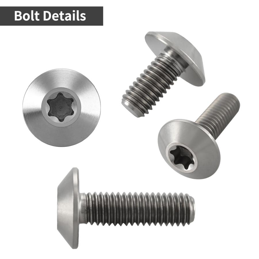 TECHーMASTER（テックマスター） チタンボルト M6×15mm P1.0 テーパー