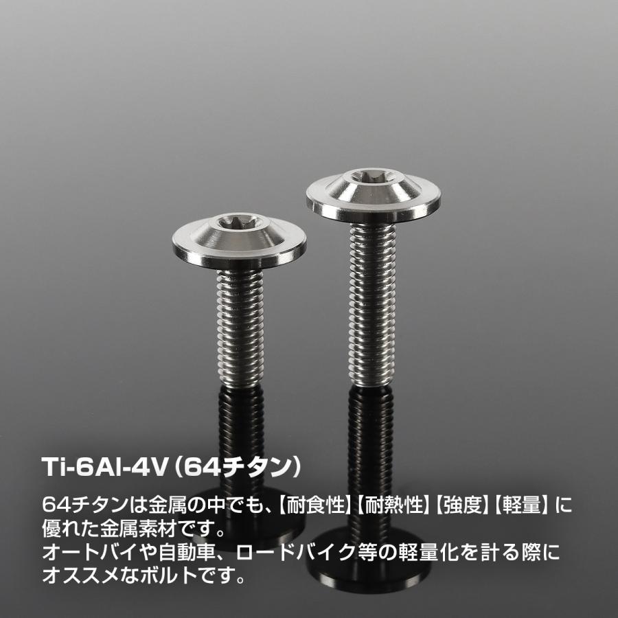チタンボルト M5×15mm P0.8 トルクス穴 フランジ付き ボタンボルト シルバーカラー 素地 1個 JA643 | TECHーMASTER | 01