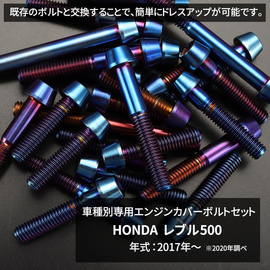 専用 TECHーMASTER（テックマスター） レブル500 REBEL エンジンカバー