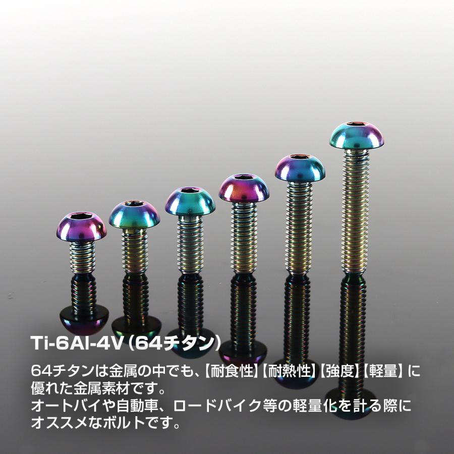 チタンボルト M4×10mm P0.7 トラスヘッド 六角穴付き ボタンボルト レインボー 1個 JA696 | TECHーMASTER | 01