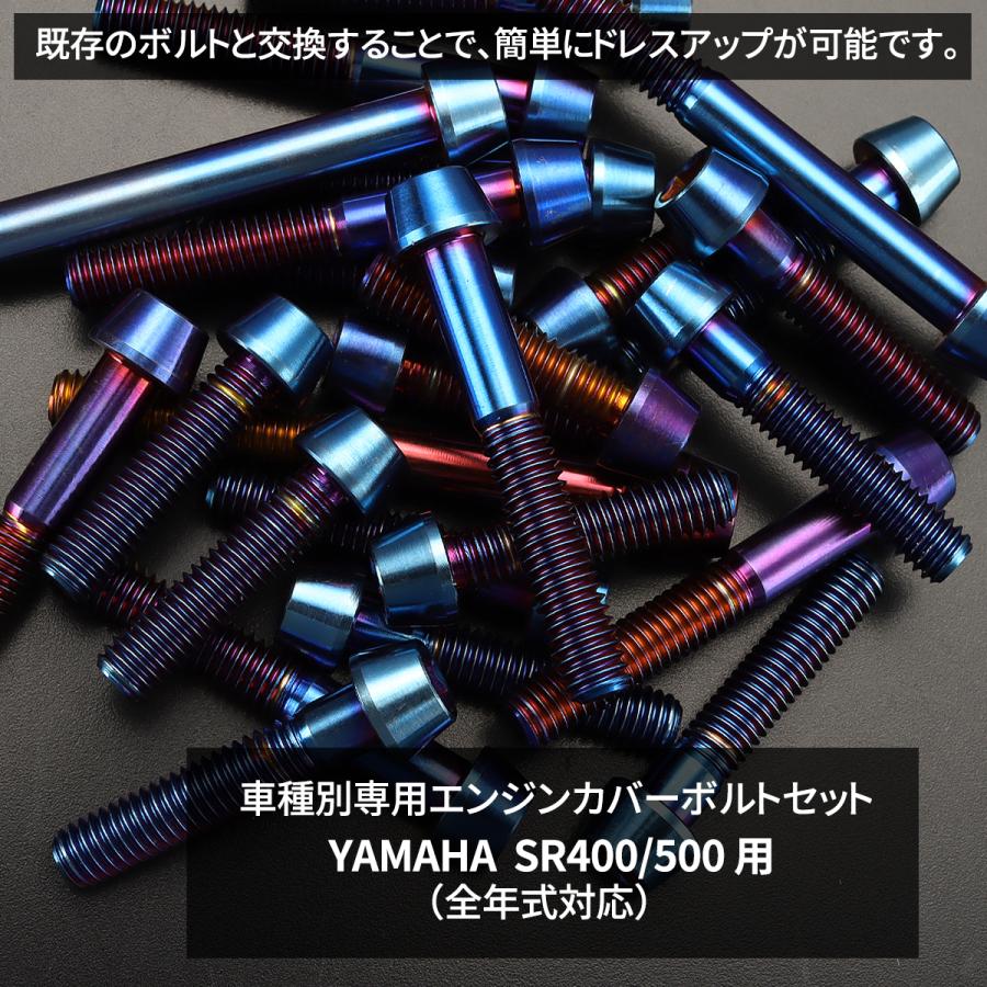 TECHーMASTER（テックマスター） SR400 SR500 エンジンカバー クランク