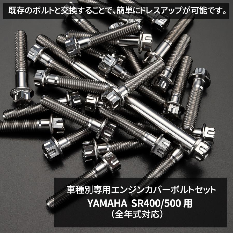TECHーMASTER（テックマスター） SR400 SR500 エンジンカバー クランク