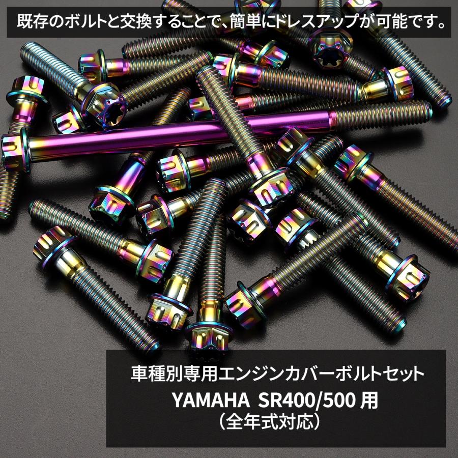 TECHーMASTER（テックマスター） SR400 SR500 エンジンカバー クランク