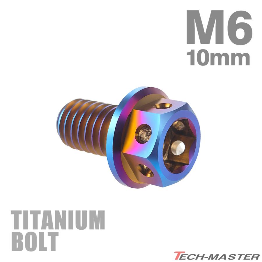 TECHーMASTER（テックマスター） チタンボルト M6×10mm P1.0 六角