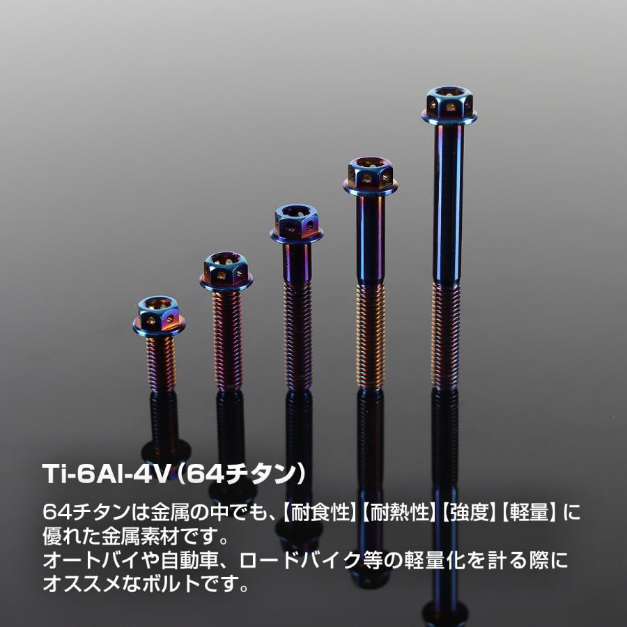 TECHーMASTER（テックマスター） チタンボルト M6×10mm P1.0 六角