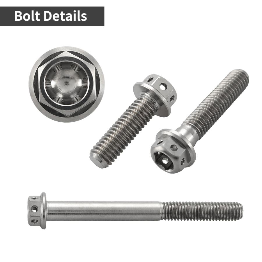 チタンボルト M6×50mm P1.0 六角ボルト キャップボルト フランジ付 シルバーカラー 素地 1個 JA799 | TECHーMASTER | 02