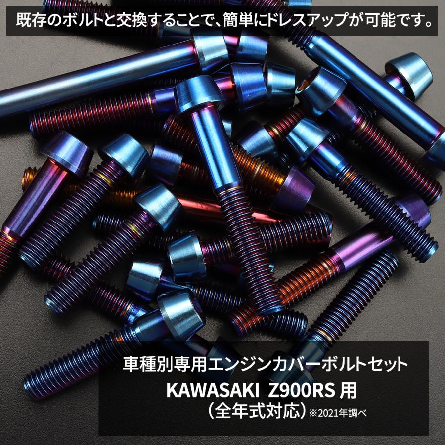 TECHーMASTER（テックマスター） Z900RS エンジンカバー クランク