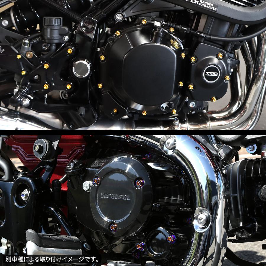 ニンジャ250 2013年-2017年 Ninja エンジンカバー クランクケース ボルト 20本セット チタン製 カワサキ車用 レインボーカラー JA8352 | TECHーMASTER | 03