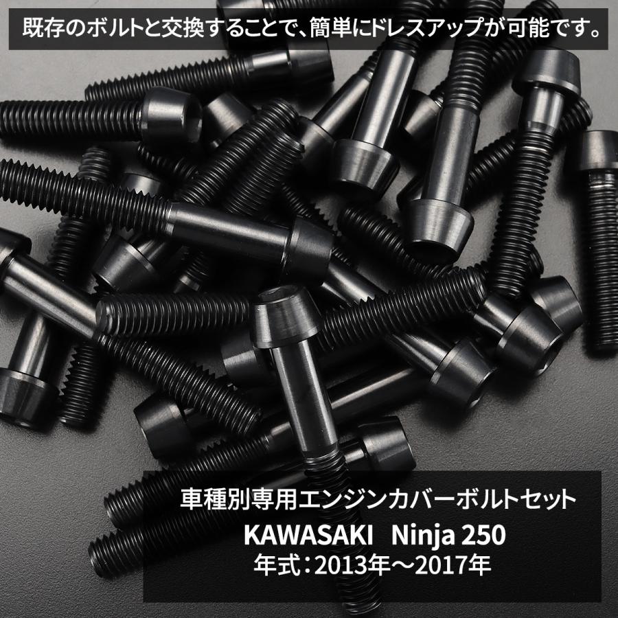 ニンジャ250 2013年-2017年 Ninja エンジンカバー クランクケース ボルト 20本セット チタン製 カワサキ車用 ブラック JA8355 | TECHーMASTER | 01